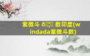 紫微斗 🦋 数印度(windada紫微斗数)